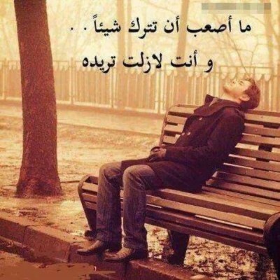 كلمات فيس بوك 