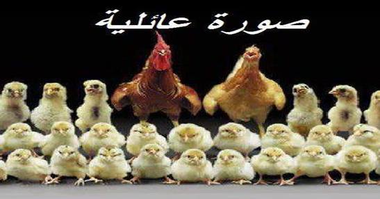 صورة عائلية