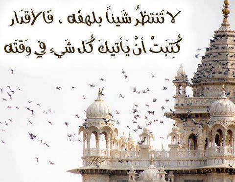 اقوال وحكم / لا تنتظر شيئا بلهفة