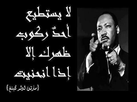 اقوال وحكم / لا يستطيع احد ركوب ظهرك إلا إذا انحنيت