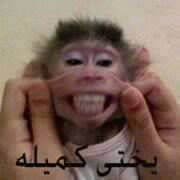 يختي كميله / تعليقات فيس بوك