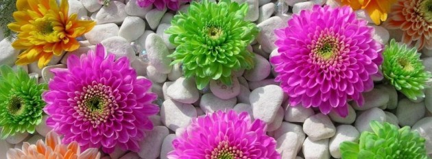 صور غلاف