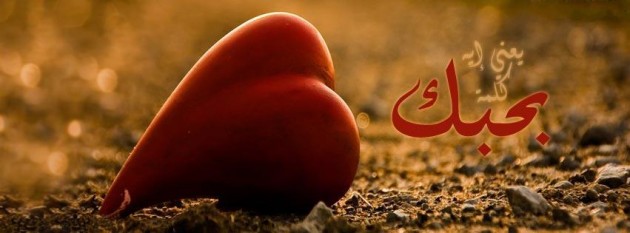 صور غلاف للفيس