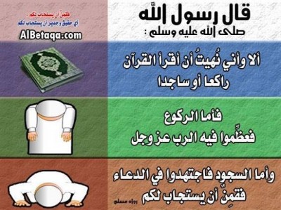 صور فيس بوك