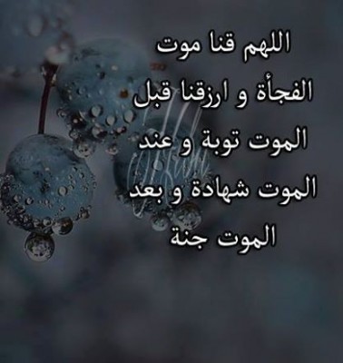 صور فيس بوك