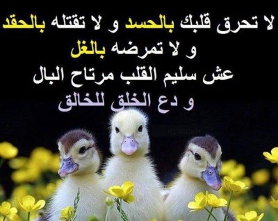صور فيس بوك