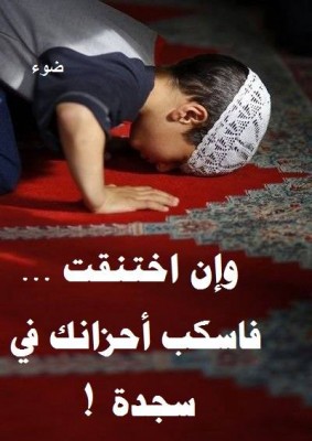 صور فيس بوك