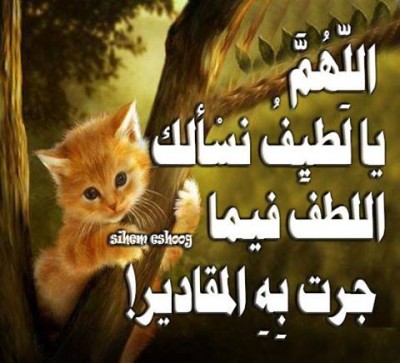 صور فيس بوك