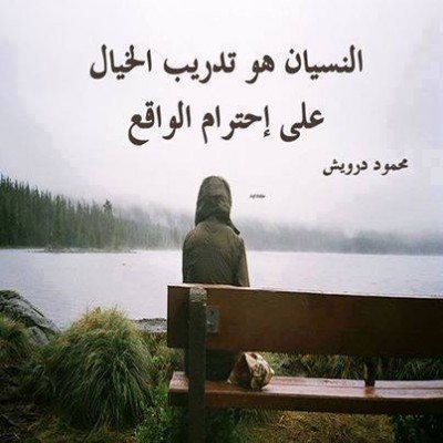 صور فيسبوك