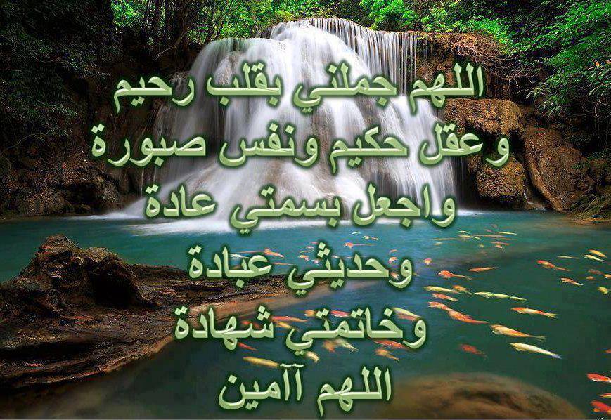 صورفيس بوك