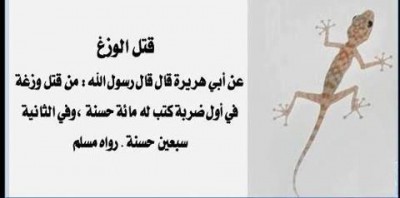صورفيس بوك