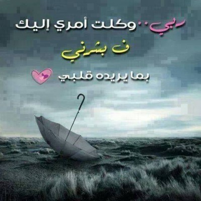 صورفيس بوك