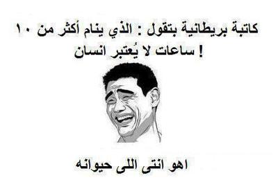 أهو أنتى إللى حيوانه /فيس بوك