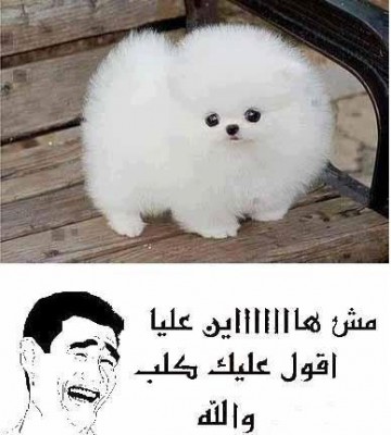 فيس بوك