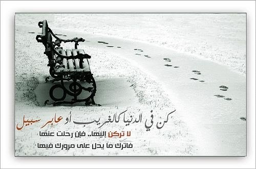 حكم واقوال / كن فى الدنيا كانك غريب