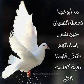 حكم واقوال / ما أروعها نعمة النسيان