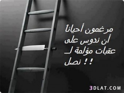 حكم واقوال