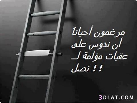 حكم واقوال / مرغمون احيانا