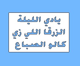 يا دى الليلة الزرقا