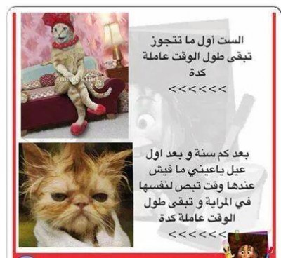 صور فيس بوك