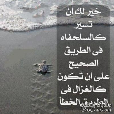 صور فيس بوك