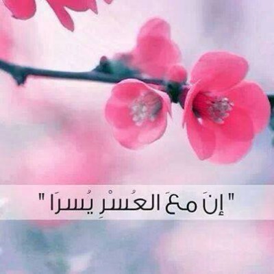 صور فيس بوك