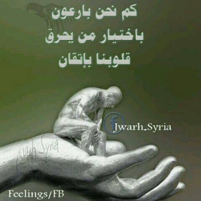صور فيس بوك