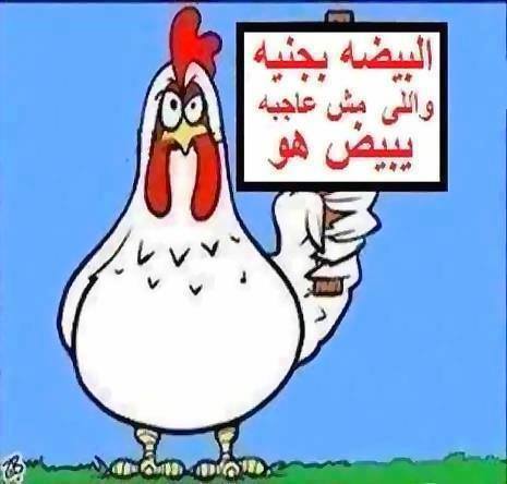 صور مضحكه جميله