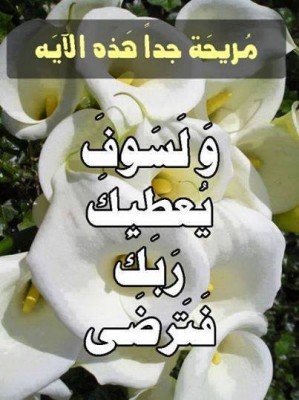 صورفيس بوك