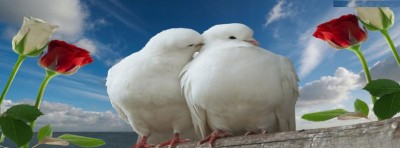 صور غلاف