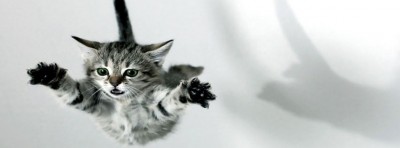 صور غلاف
