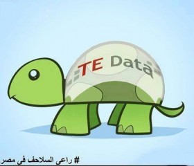 راعى السلاحف فى مصر