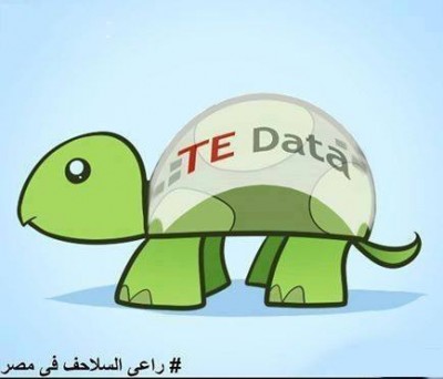 راعى السلاحف فى مصر تى داتا