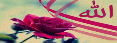 صور غلاف
