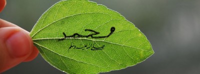 صور غلاف 