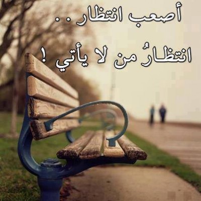 صور غلاف