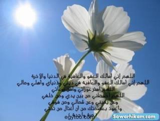 صور غلاف