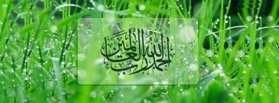 صور غلاف
