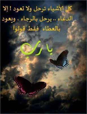 بوستات فيس بوك