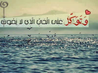 بوستات فيس بوك