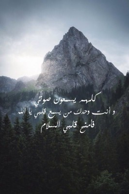 بوستات فيس بوك
