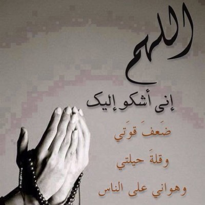 صور جميله