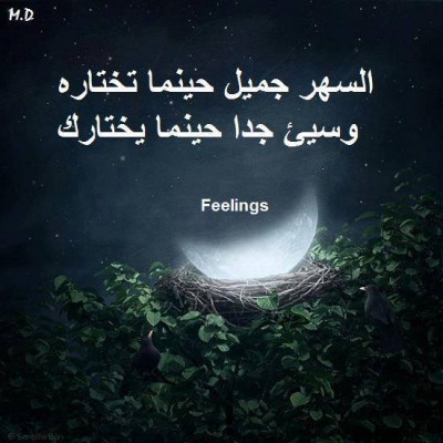 صور فيس بوك