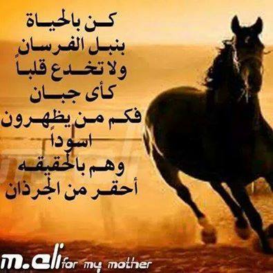 صور فيس بوك