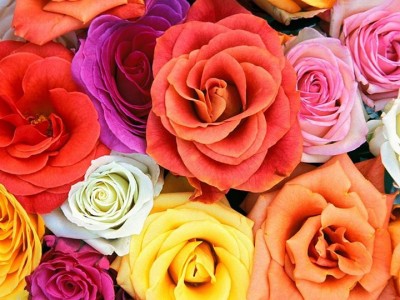 صور فيس بوك