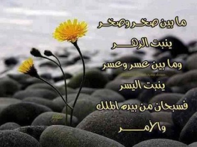 صور فيس بوك