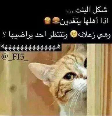 صور فيس بوك