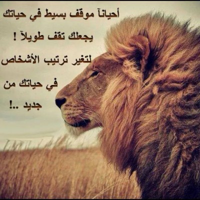صور فيس بوك كلمات