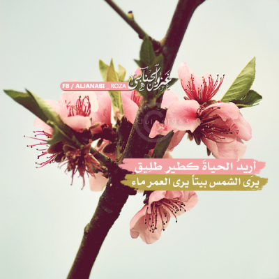 صور فيس بوك كلمات