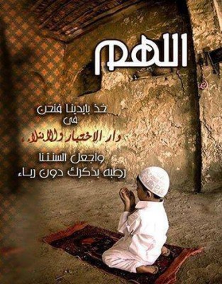 صور كلمات